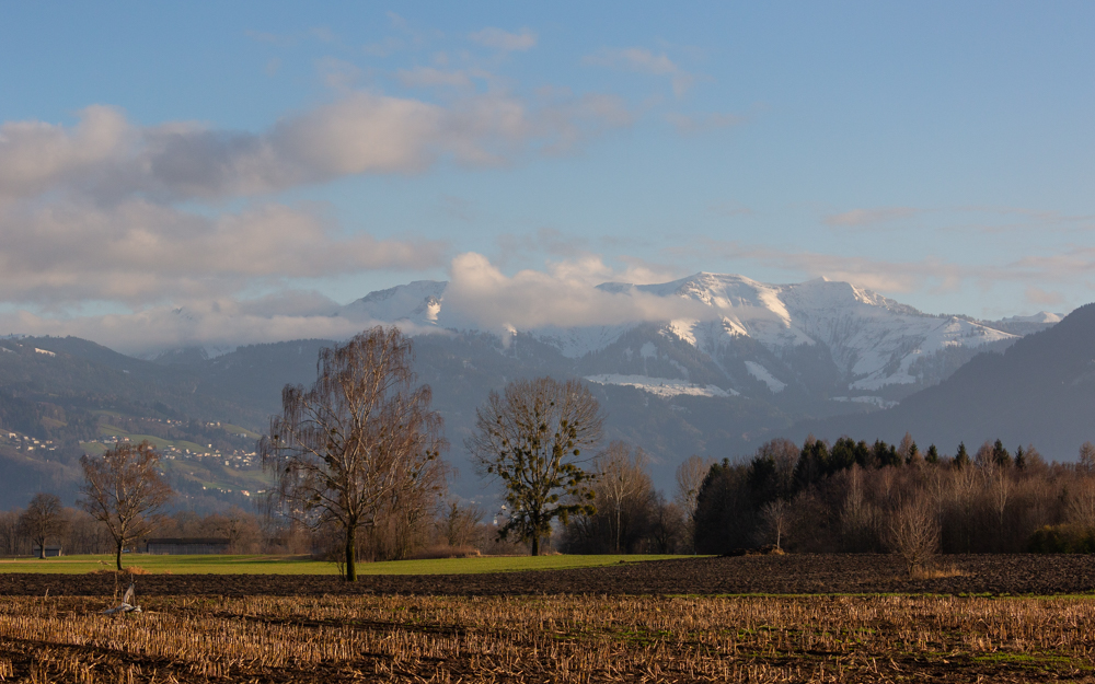 Lauteracherried im Jänner 67